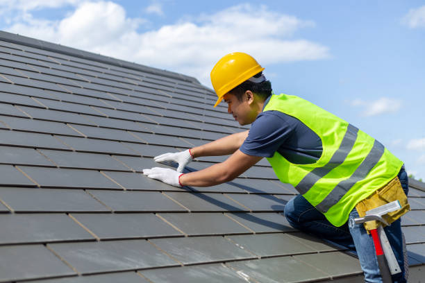 Roof Gutter Cleaning in Lesslie, SC