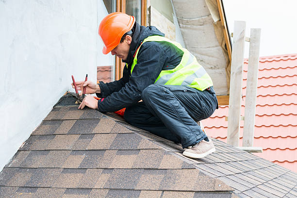 Best Metal Roofing Contractor  in Lesslie, SC