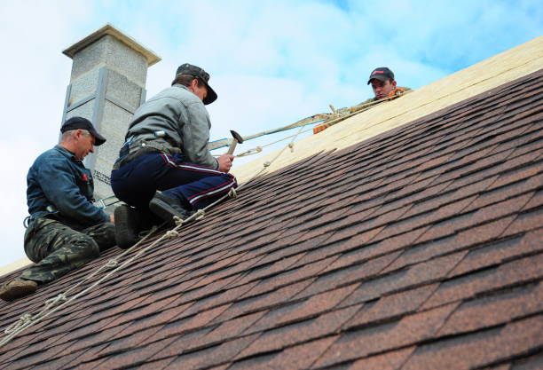 Trusted Lesslie, SC Roofing Contractor Experts