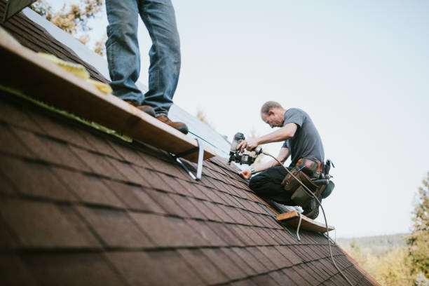 Quick and Trustworthy Emergency Roof Repair Services in Lesslie, SC