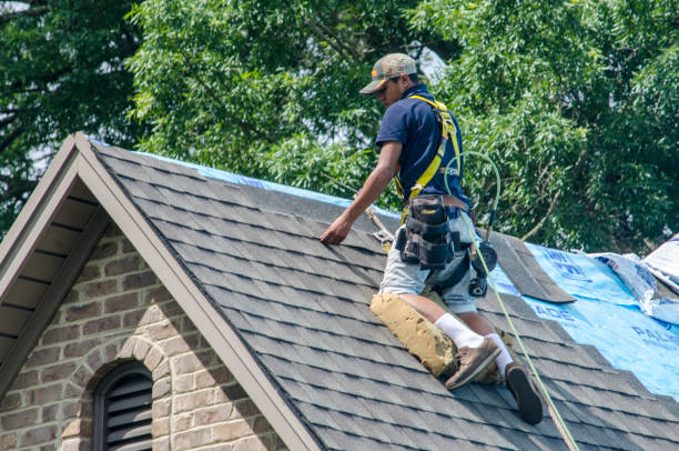 Gutter Installation and Roofing in Lesslie, SC